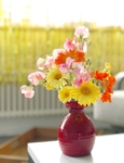 Blüemlisex Blumen für dein Fest Vaenweise
