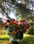 Blüemlisex Blumen für dein Fest Eimerweise