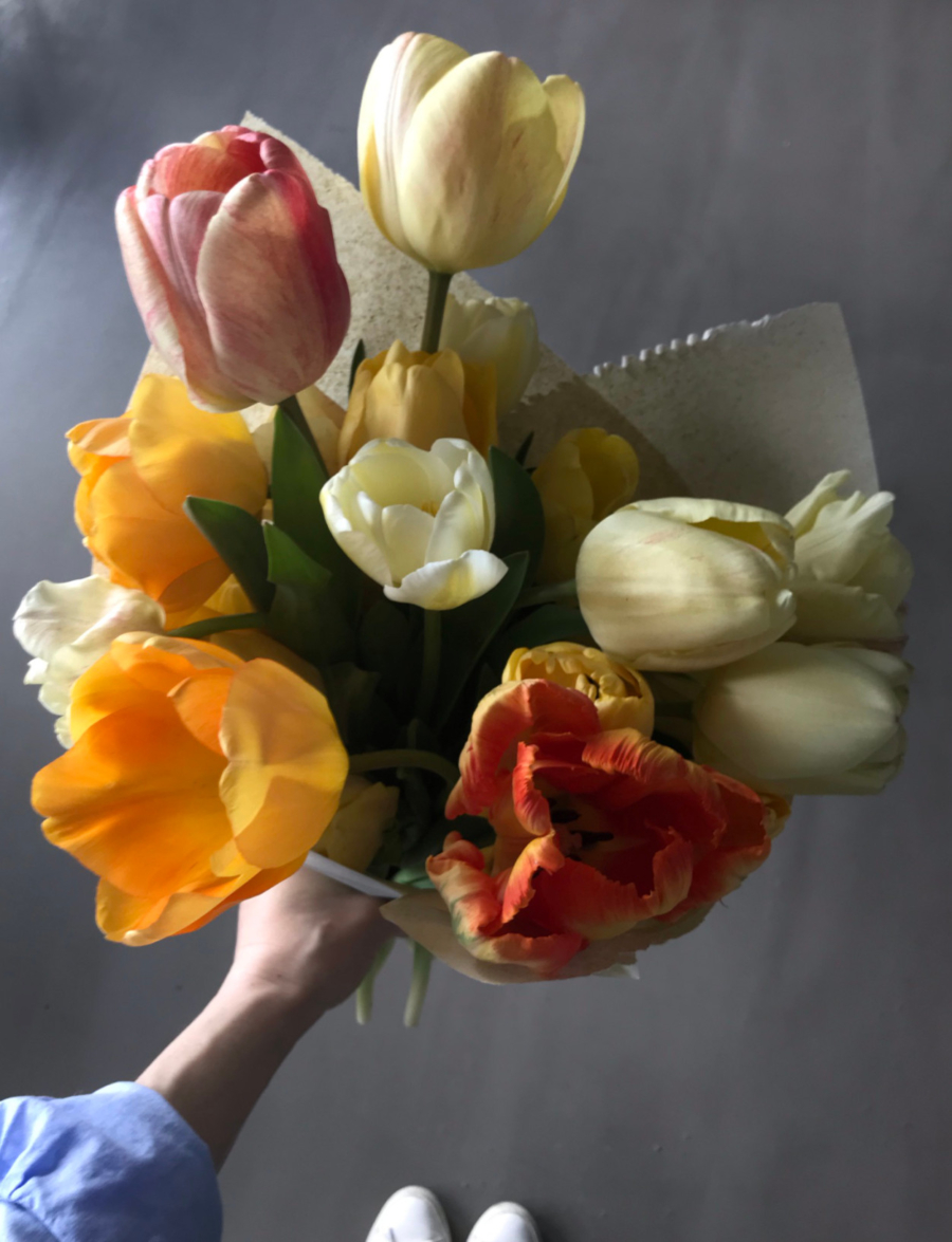 Slowflowers Tulpen